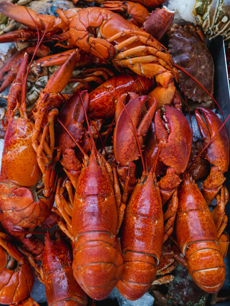 Fruits de mer