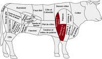 Macreuse de boeuf AAA nature du Quebec