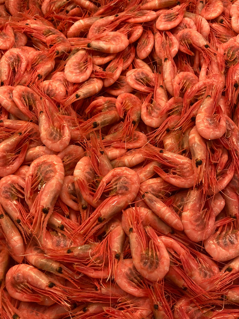 Fruits de mer